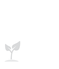 Icône - avant & après des réalisations des jardins d’Isabelle