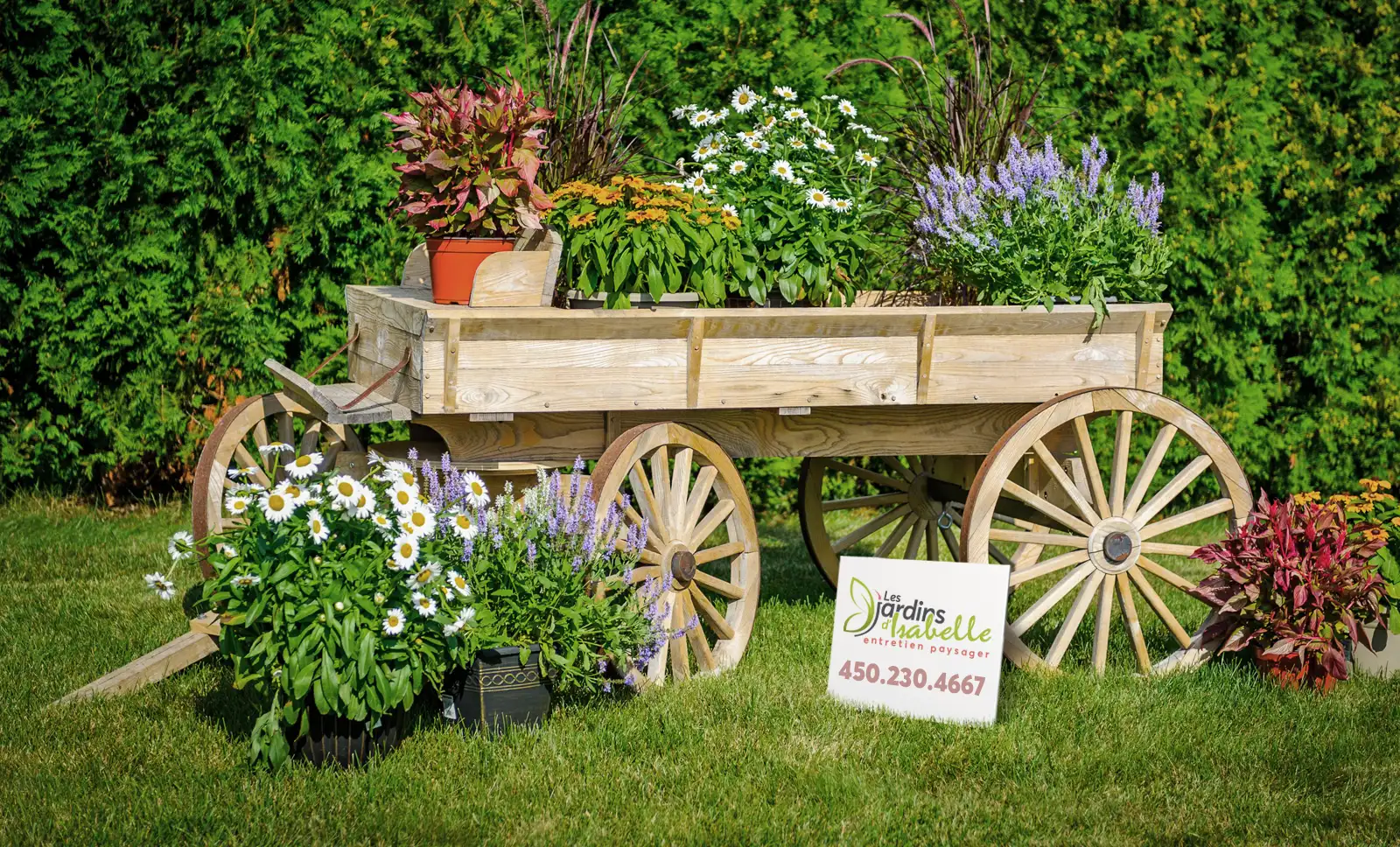 Image - Chariot de fleurs français
