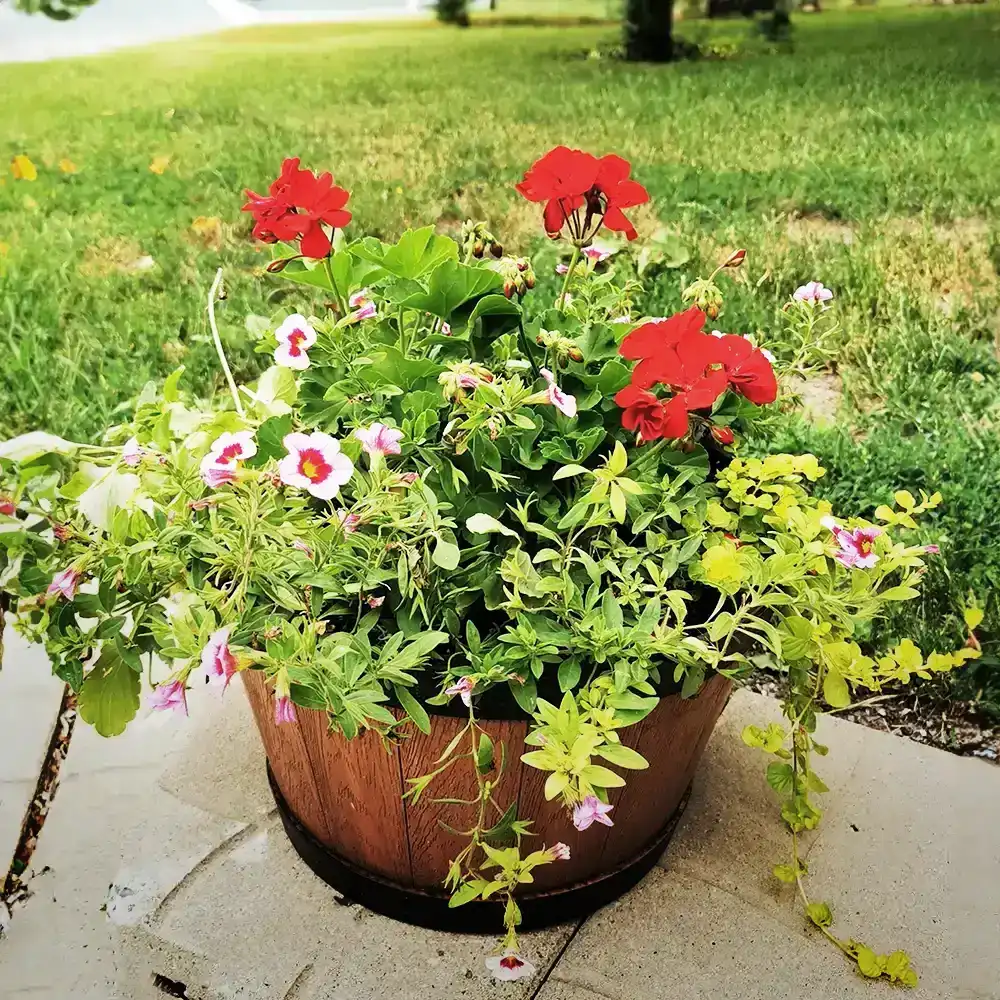 Pots à fleurs des jardins d’Isabelle
