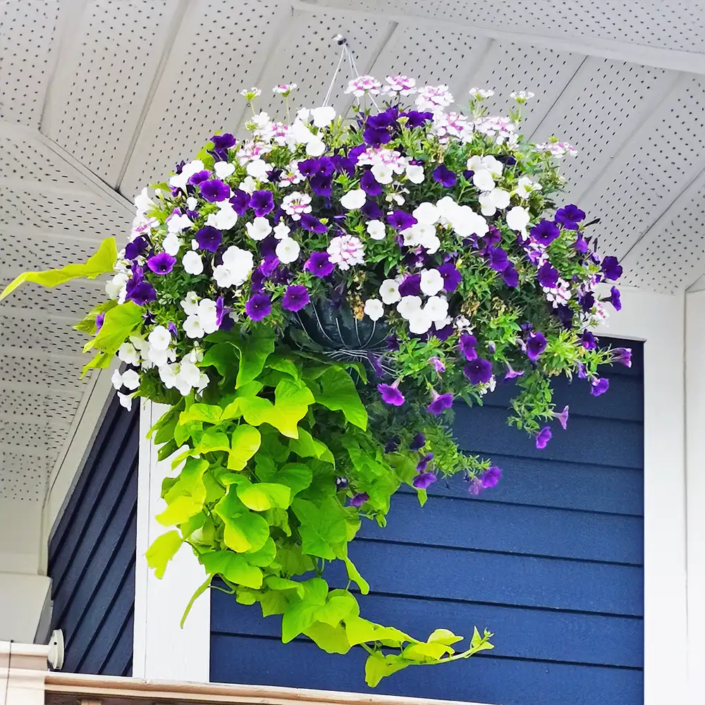 Jardinières des jardins d’Isabelle