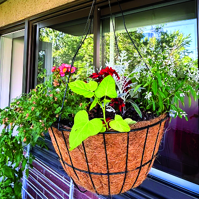 Camions des Jardins d’Isabelle